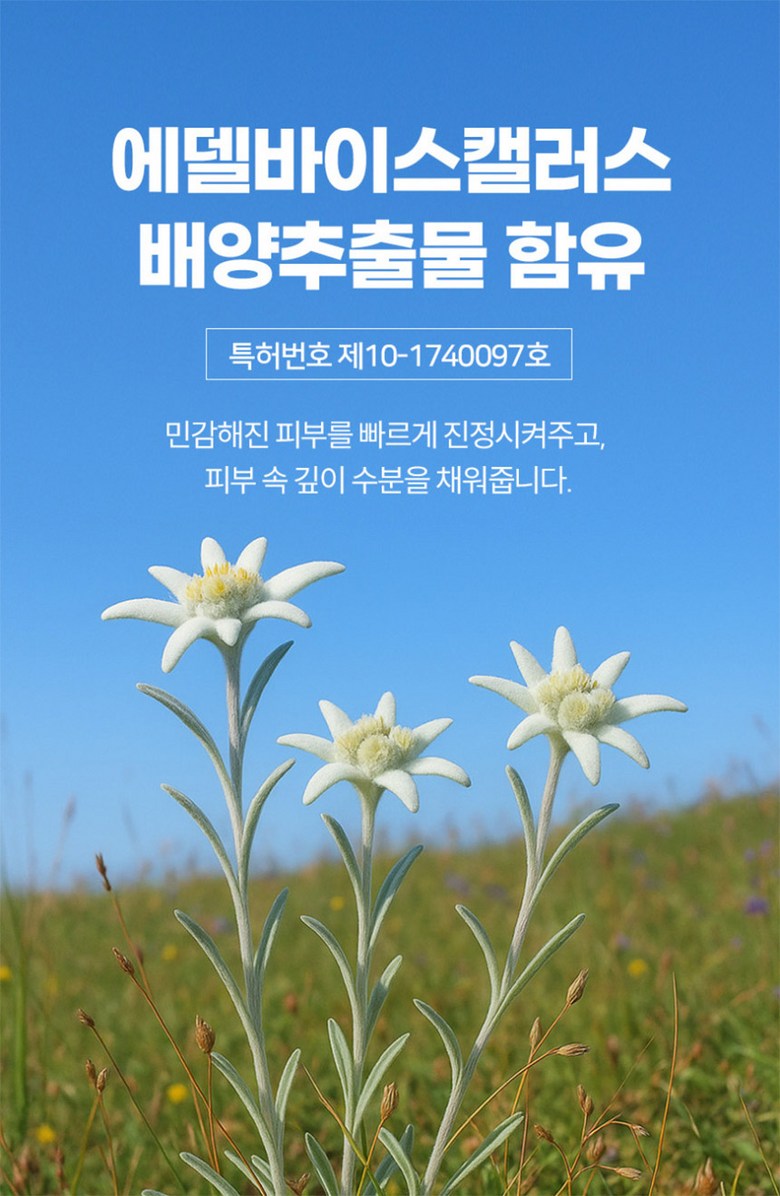 상세이미지